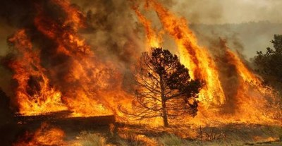 numerosi-incendi-negli-ultimi-giorni-immagine-repertorio-3bmeteo-78816.jpg