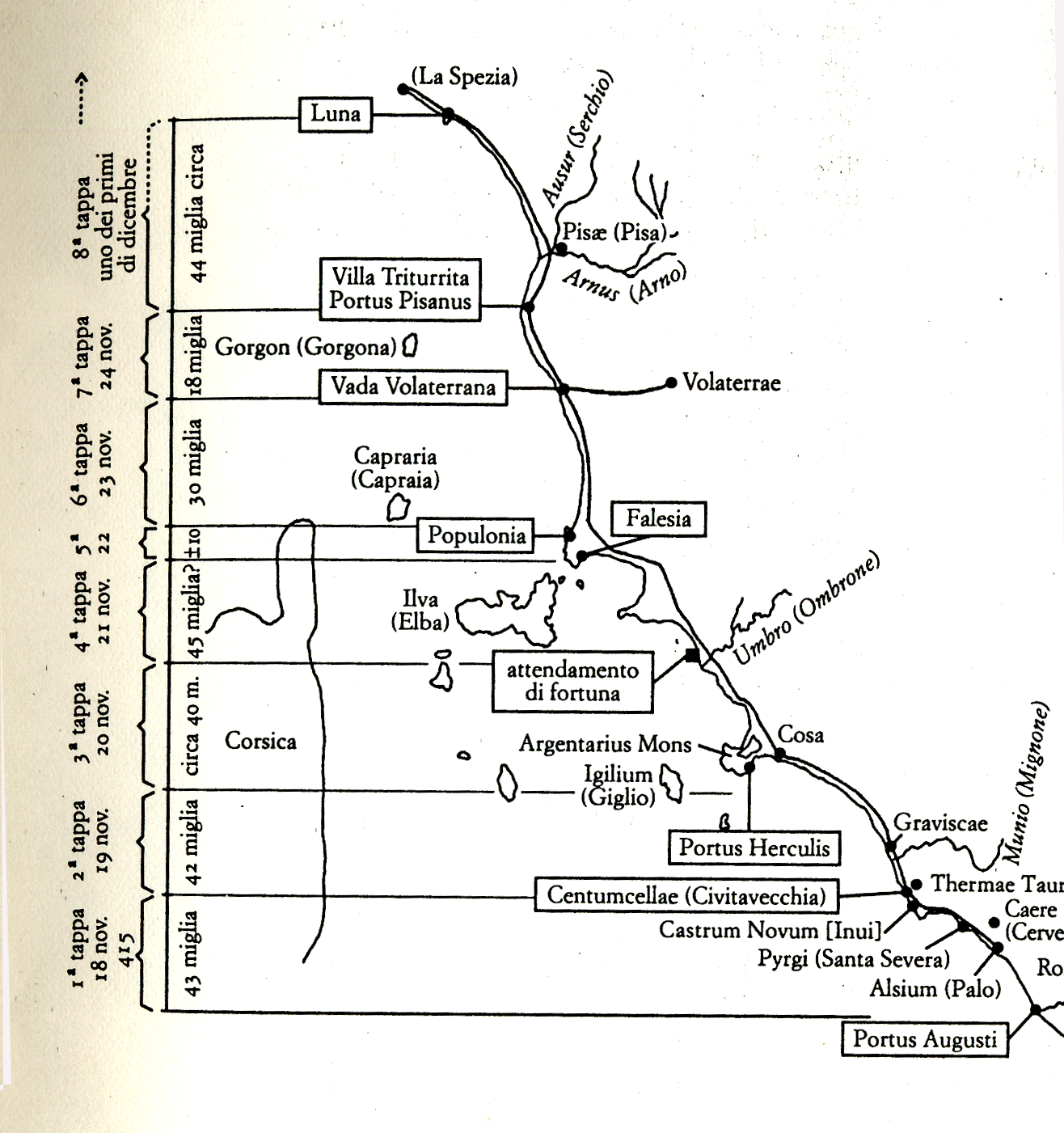 AA rutilio-2.jpg